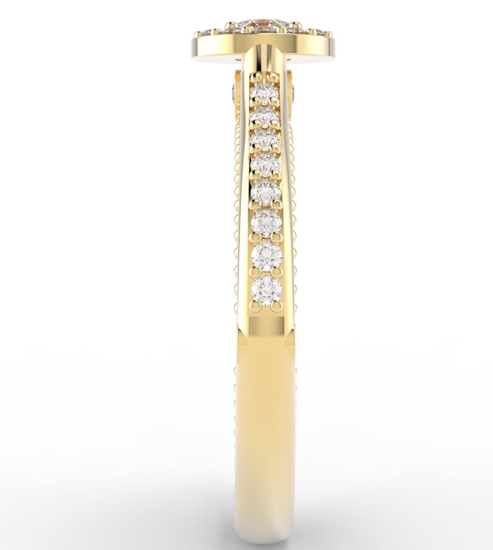 Anel de Noivado Halo com Moissanite de 50pts Joy