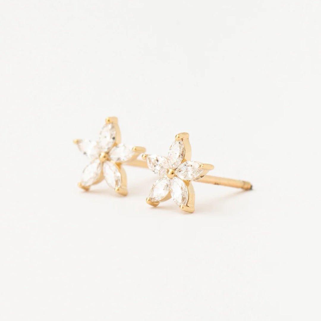 Brinco Estrela em Ouro 18K - Volpi Joias